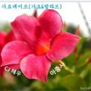 (주)혜우 이미지