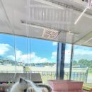 야옹아 멍멍해봐 세종점 이미지