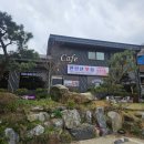 허니우스 | [금산]대전 근교 반려동물 동반 카페 "허니우스" 내돈내상 솔직리뷰