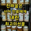 기웅농장 네이버블로그
