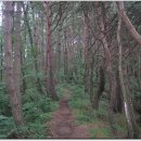 운천보건진료소 이미지