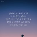 주식회사 신밧드 네이버블로그