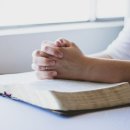 직업상담사 2급 필기 (5과목 - 노동관계법규) 이미지