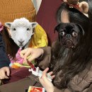 만경밧데리 이미지