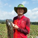 황금뜰 - 안산시 상록구 | 황금뜰