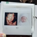 대로2-31 | [임신 28 - 31주] 입체초음파, 만삭사진, 산전마사지, 카시트 구매, 임신 후기 증상 😵