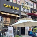 카페앤디디