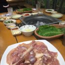 대숲골농원 Daum카페