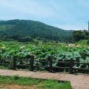 서라벌상회