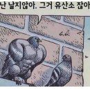 꾸브라꼬 - 군포시 번영로561번안길 15-1 | 꾸브라꼬