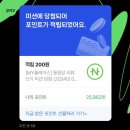 주식회사 참약사 | 귀여운 구마마루가 우리집에 찾아왔어요