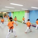 용인대 새빛 태권도장 이미지