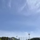 남해-65 네이버블로그