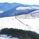 열린목장 이미지