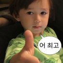 제주곱 | <제주/연동> 제주 연동 맛집 현지인이 추천하는 한우곱창 찐맛집 '제주곱' 내돈내산 솔직후기