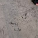 산분령 유료 낚시터 이미지