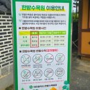 둔산대로 | 대전 한밭수목원, 한밭식물원 방문 후기