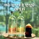 오름유통 | 강한 탄산수 추천 임산부 맛있는 : 탄산오름 후기(레몬, 플레인 등) [공구/진행중]