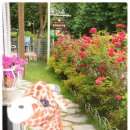 활짝핀유치원 이미지