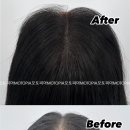 대신모토피아 이미지