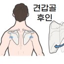 명지헬스 이미지