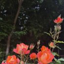 당진참숯가마