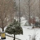 충주호당의원 이미지