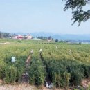 제형농장 이미지