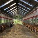 박동농장 이미지