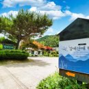 강애산애 이미지