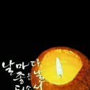 이레&광택;코팅;세차