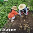 여주-0417 이미지