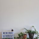 미니크테이블 이미지