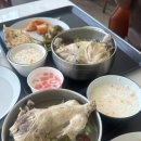 이마트24 북한강로점 | 수린이 수영일기 [13일차] 가평 수영장 무아레 풀무아레 놀수
