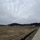 독상마을회관 이미지