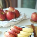 섭이네농장 이미지