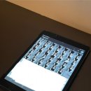 홍대입구역 2번출구 소망동물약국 | 홍대 [레코디드] : 셀프로 나를 기록하는 홍대 증명사진