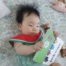 문해력 북(book)돋음 | 서울시 임산부 혜택 임신 선물 엄마 북(book)돋음 후기 신청 사이트 신생아 영아 아기 책 읽어주기