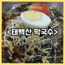 강원도 태백 막국수 맛집 태백산막국수 태백 해바라기 축제 구와우마을 용연동굴 근처 맛집 내돈내산