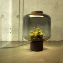Self Contained EcoSystems: Amazing Light Fixtures with Live Plants Inside 이미지