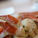 속초대게마을 이미지