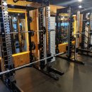 바디닥터짐 이미지