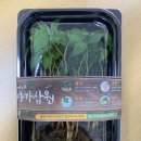 삼원농장 이미지