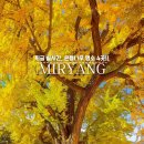 (주) 암새들 이미지