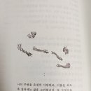 개운한날 이미지