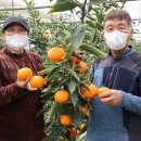 (주)영동건설 이미지