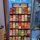 오션트리 호스텔 이미지