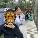 (주)어지린 이미지