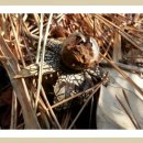 시산농장 이미지