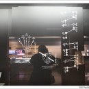 금보(琴譜) 이미지